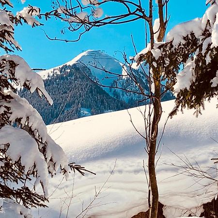 Appartements Living Saalbach מראה חיצוני תמונה