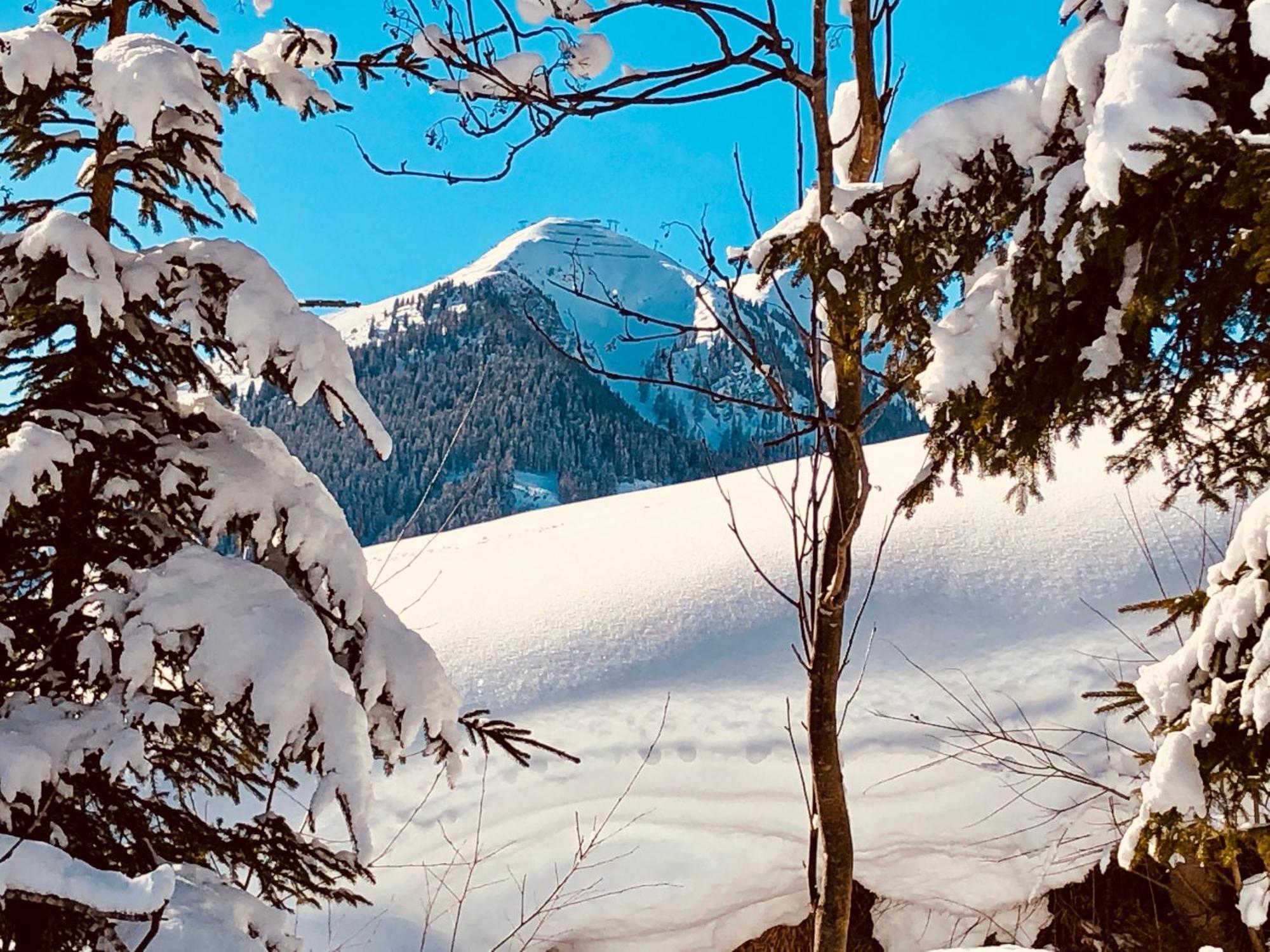 Appartements Living Saalbach מראה חיצוני תמונה